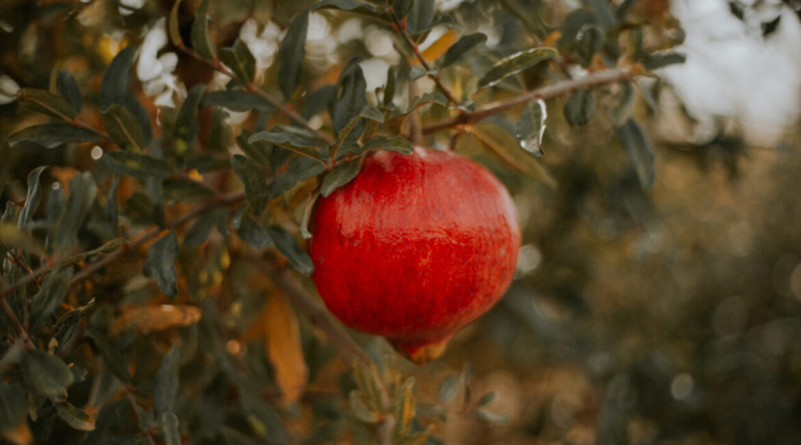 zumo de granada